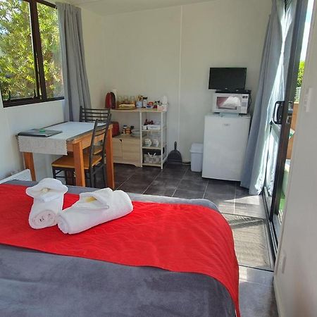 Lakeview Studio Cabin Apartment Kuratau Bagian luar foto