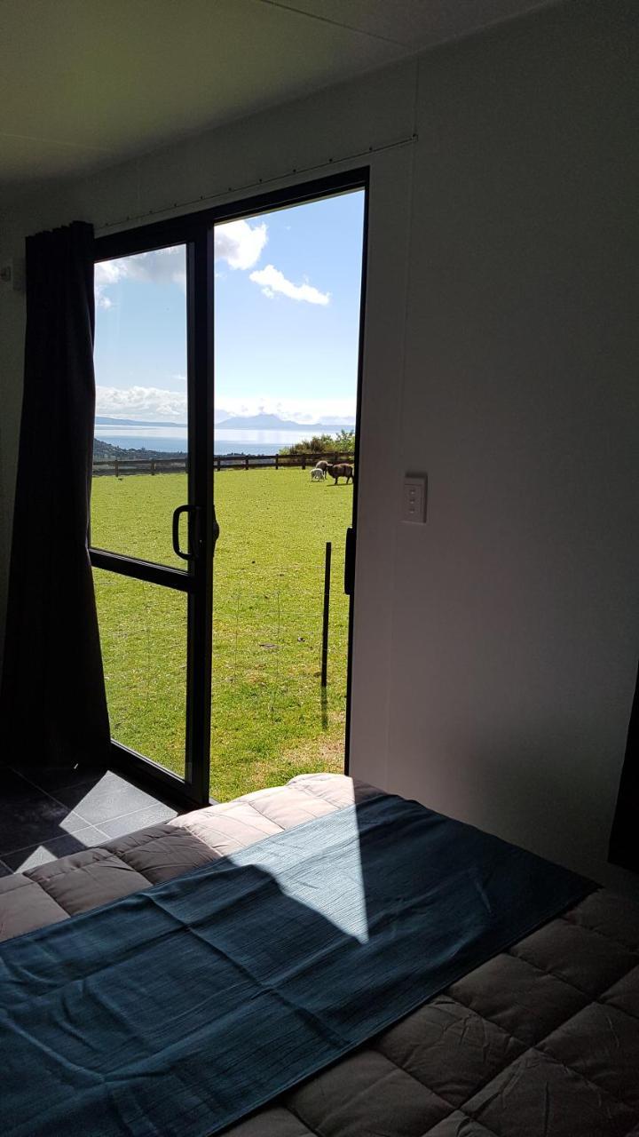 Lakeview Studio Cabin Apartment Kuratau Bagian luar foto